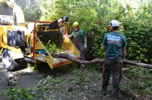 tree services Ahwahnee